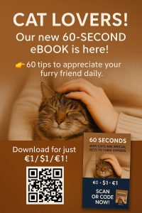 60 Seconds: Why Cats Are Special Pets to Their Owners